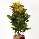 경찰병원장례식장 이미지