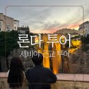 세비야 론다 일일 투어 내돈내산 후기 (사하라, 누에보 다리)
