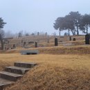 1718 | 김지남 묘 및 비갈