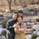 중2동-31 Daum카페