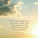로페 이미지