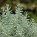 이담통상 이미지