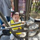 하마터어린이공원 이미지