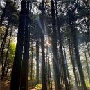 수리산도립공원 탐방안내소 이미지