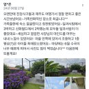 봄이 오는 제주, 제주도여행은 일과서림에서