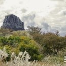 진해구 ⓒ-2 이미지