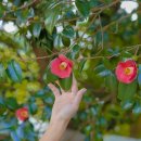 신흥2리 이미지