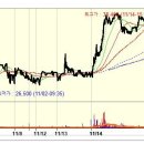 [11월 14일 수요일] 상한가종목/ 상한가매매 종합정보 (동양3우B 등) 이미지
