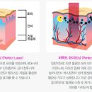아름다운미의원 이미지