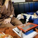 댕댕이 주전부리 이미지