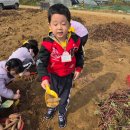 윤가농장 이미지