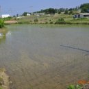 왕눈이PC 이미지