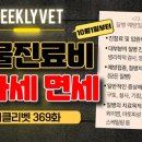 위클 이미지