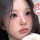 디어로지스