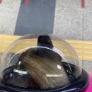 마곡M동물의료센터 이미지