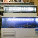백운정소와장어 이미지