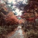 냉천골약수터 이미지