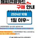 야인상회 | 장생포 모노레일타고 고래문화마을 주차방법부터 이용후기까지