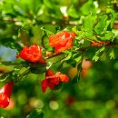 심청한옥마을 이미지