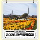 피지월드(주) | 태안 튤립축제 2026 실시간 후기 전망대 꼭 가세요 성 포토존까지 완벽 정리