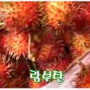 (주)두리안서비스