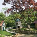 유니스의정원 이미지