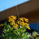 운악산성 이미지