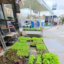 흥농종묘 이미지