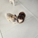 (유)제일에너지 이미지