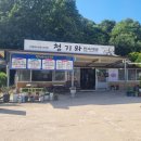 안동칼국수.찜닭식당 | 안동 하회마을 식당 솔직후기! 찜닭 먹을까 말까 고민하다 들어간 하회장터 맛집