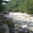 제천 월악산국립공원내 계곡접한 신축펜션 급매 이미지