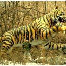 청양 칠갑산오토캠핑장 이미지