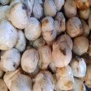 초일농장 이미지