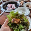 삼성농장 2 이미지