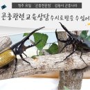 청주 유일 ‘곤충전문점’ 김왕사﻿ 곤충나라-오렌지스쿨 이미지