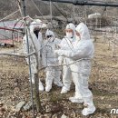 괴산군농업연구소 이미지