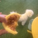 이백 | 200%(이백퍼센트) 이용후기