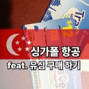 싱가폴 | 싱가폴 항공 이코노미 이용 후기 창이공항 유심 구매하기