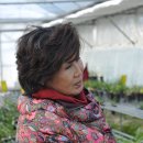 김해삼문고등학교 이미지