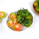 토마토 - 거제시 거제중앙로 1905 | 토마토