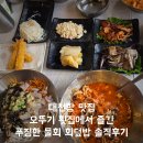 오뚜기횟집 - 7879 | 대천항 맛집 오뚜기 횟집에서 즐긴 푸짐한 물회 회덮밥 솔직 후기