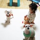 하은동물병원 이미지