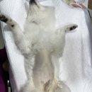 부산종합동물병원 이미지
