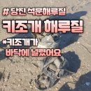 새하크리닝 | 당진 석문 키조개 해루질 대박 만통했어요