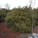 아담농장 이미지