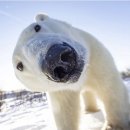 굴렁쇠노래방 | 위시리스트 82 짧은 일상 15 배고픔 7 도합 104의 삶