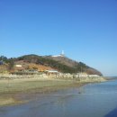 입파도·국화도