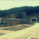 장어와소곱창 이미지