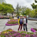 백양산 애진봉 이미지