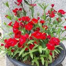 삼아아파트경로당 이미지